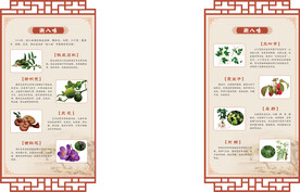 新浙八味中药