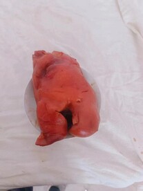 美食猪蹄