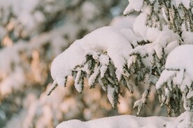 冬日雪景摄影
