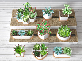 现代多肉绿植盆栽组合3D模