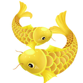 金龙鱼