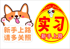 新手实习