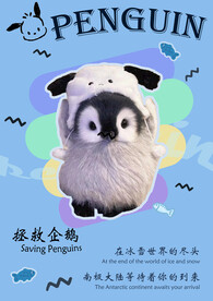 企鹅宣传报