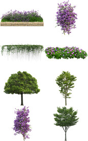 园林花草树木