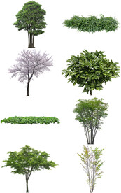 树木素材