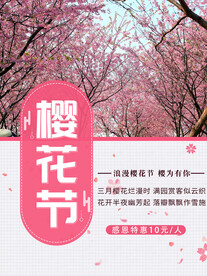 樱花节