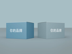 药品保健品食品包装盒样机立体图