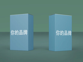 药品保健品食品包装盒样机立体图