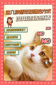 猫咪百科