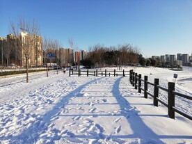 冬季雪景