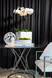 室内设计效果图