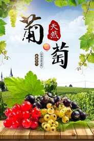 葡萄