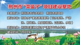 菜篮子