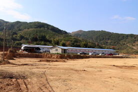 农村蛋鸡养鸡厂房