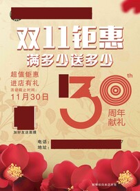 双11钜惠