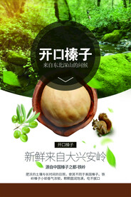 开口榛子