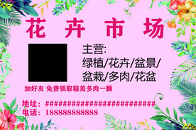 树叶