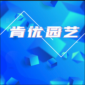 直播背景