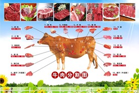 牛肉分解图