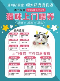 猫咪上门喂养