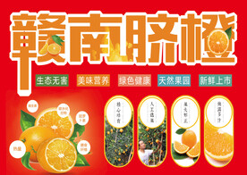 脐橙