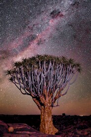 草原星空