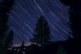 森林夜景