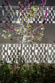 家装设计实景图