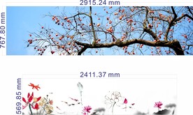 柿子树 水墨荷花