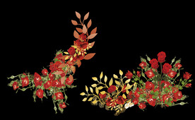 AI矢量花朵插画图片