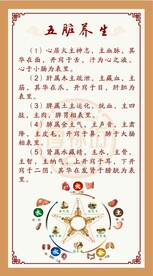 五脏养生