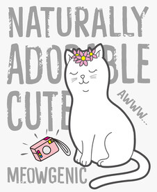 可爱的小猫 