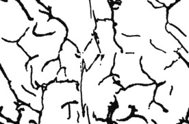 裂纹