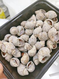 盐焗