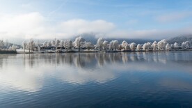 湖面景色