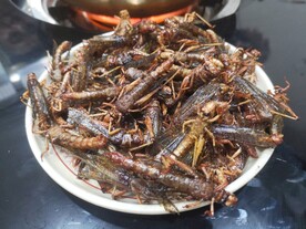 炸蚂蚱