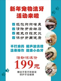 宠物洁牙海报