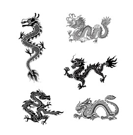 龙素材