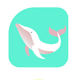 海豚