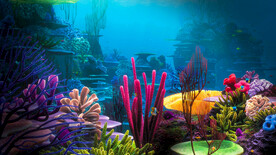 缤纷的海底世界