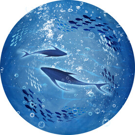  海底世界