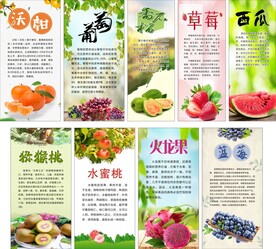 水果海报