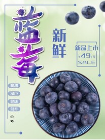 新鲜蓝莓
