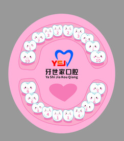口腔牙齿分布