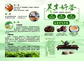 茶
