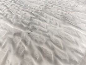 冬季雪地