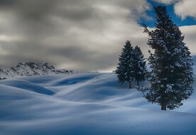 冬季雪地