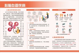 心脑血管疾病