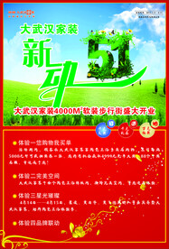 大武汉家装