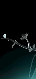 立春海报     二十四节气 